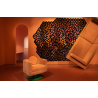 hexagonal